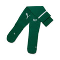 Meião Palmeiras Puma I 25/26