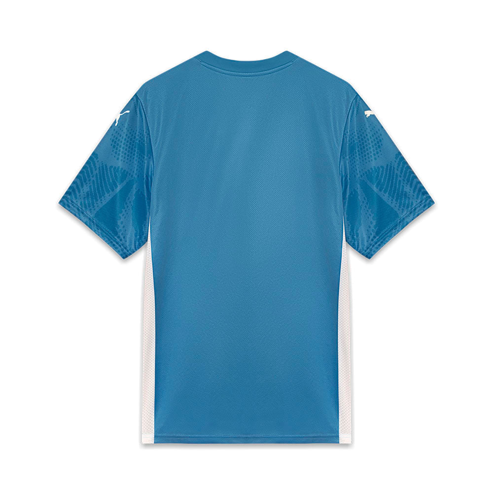 Camisa Palmeiras Puma I Goleiro 25/26 Jogador