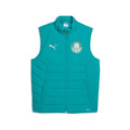 Colete SE Palmeiras Masculino