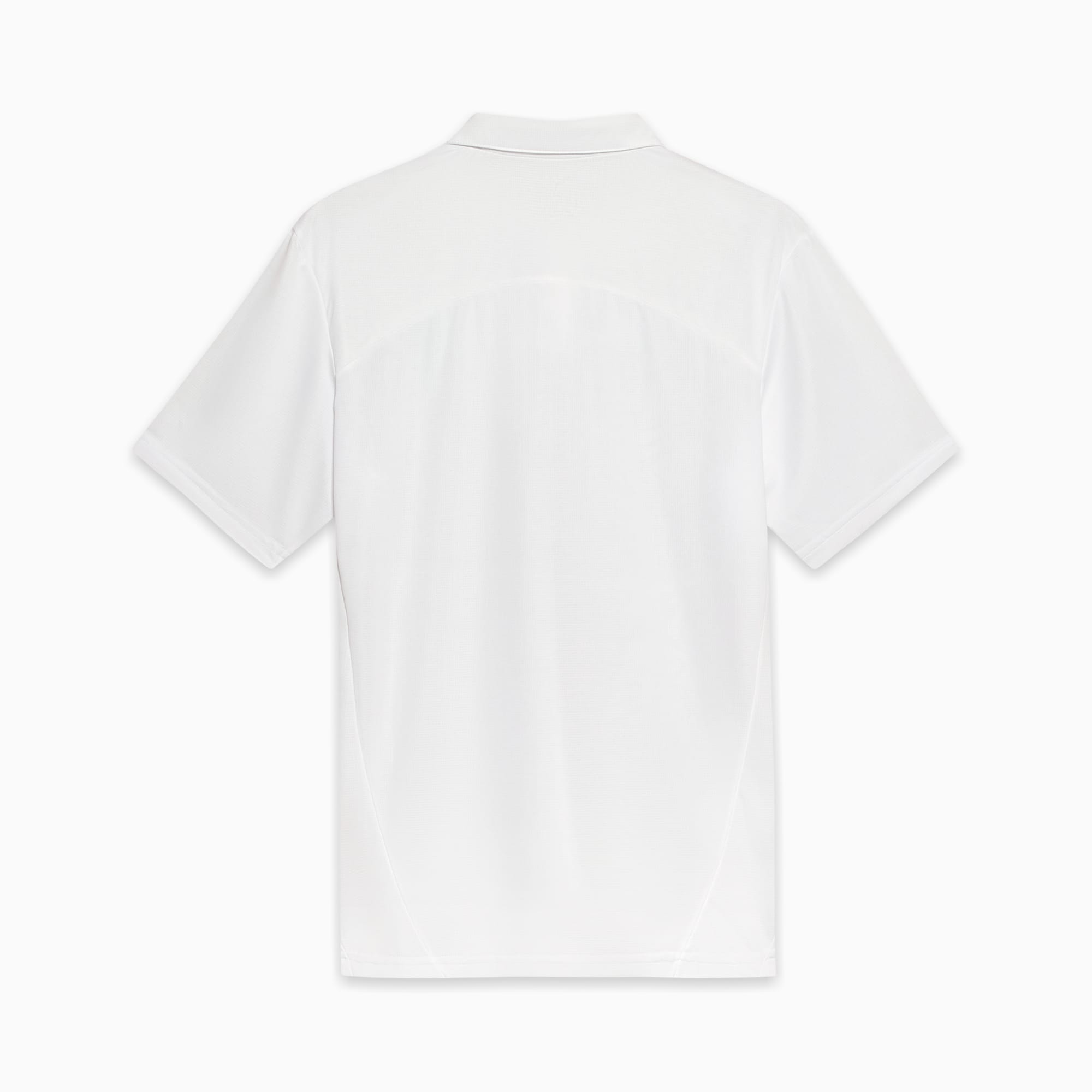 Camisa Polo Palmeiras Treino 2025