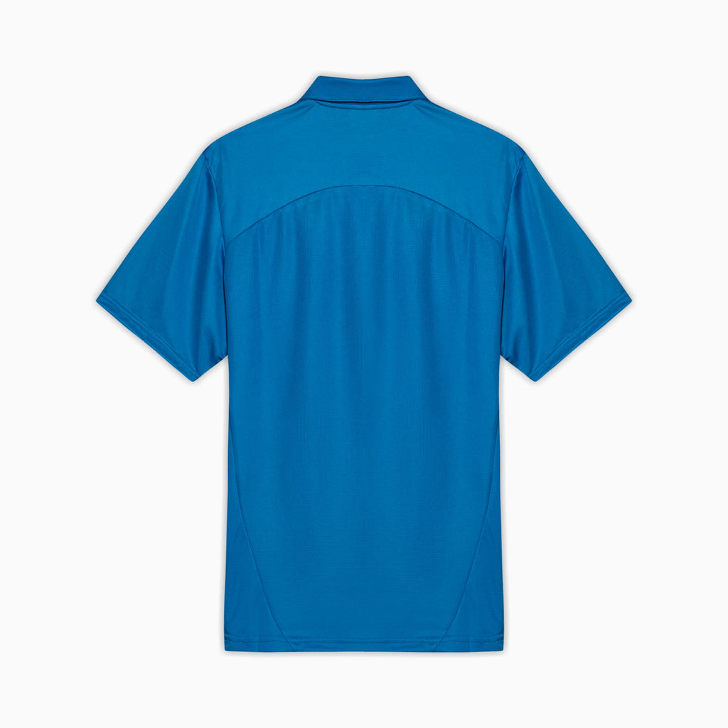 Camisa Polo Palmeiras Treino 2025