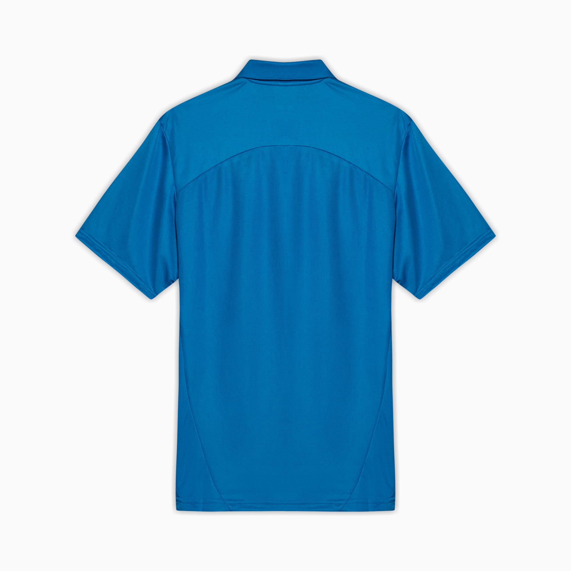 Camisa Polo Palmeiras Treino 2025