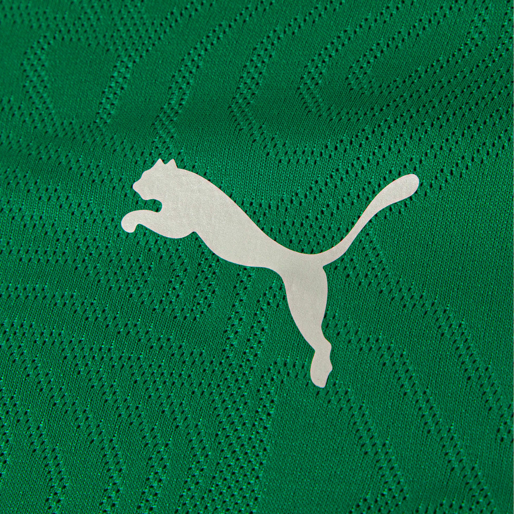 Camiseta de Treino Fluminense 2026 PUMA Masculina