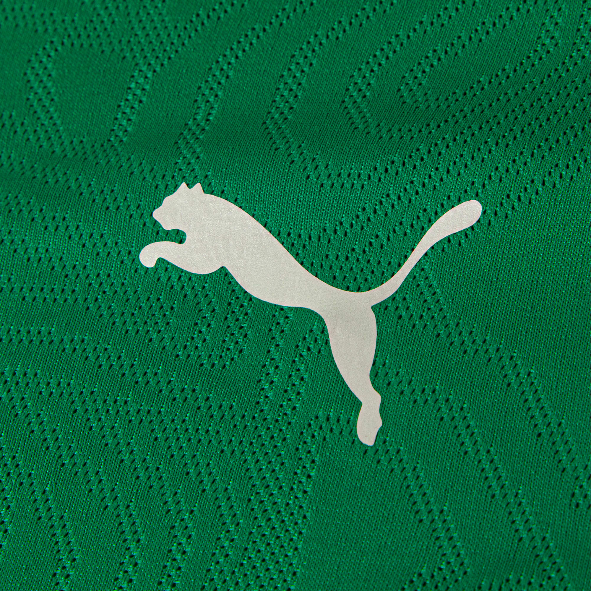 Camiseta de Treino Fluminense 2026 PUMA Masculina