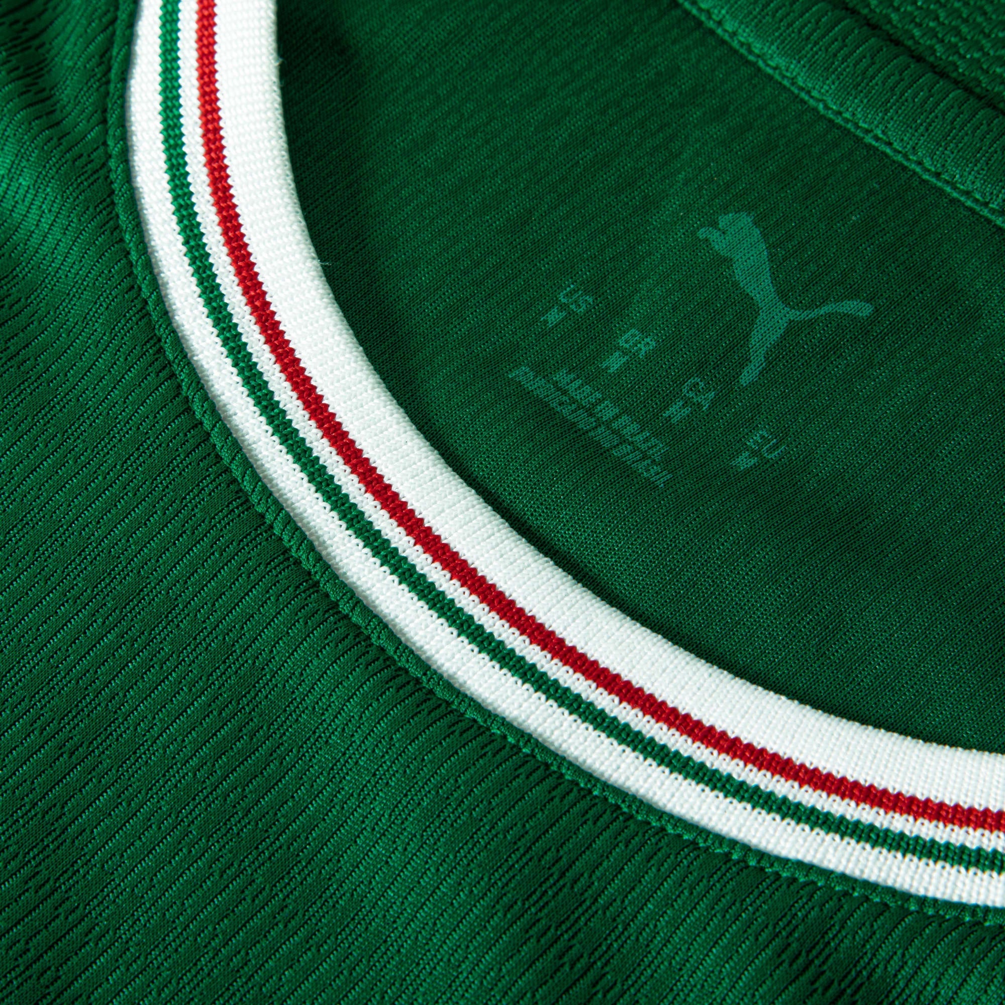 Camisa Palmeiras HOME 2026 Jogador Masculina