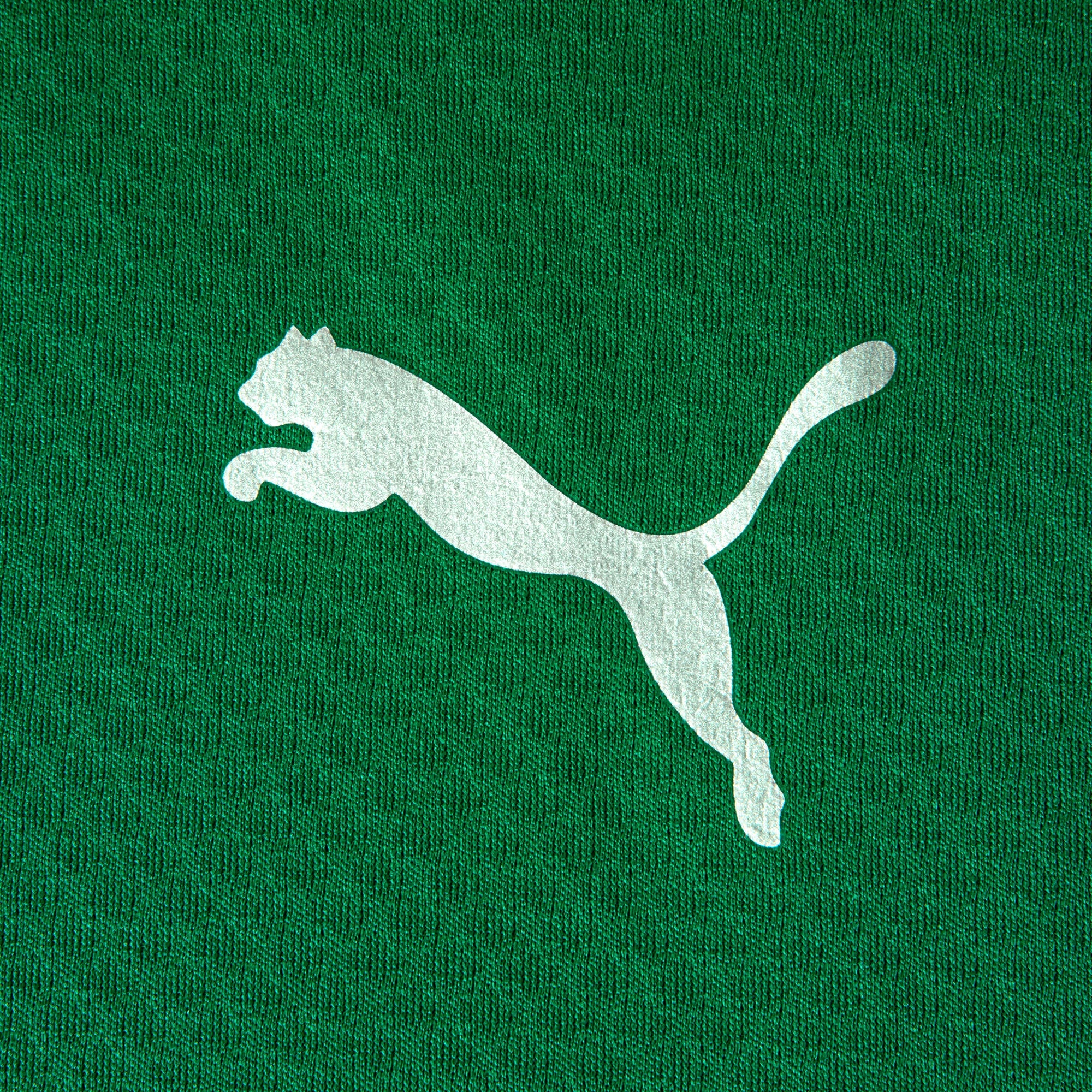 Jaqueta de Treino Fluminense 2026 PUMA Masculina