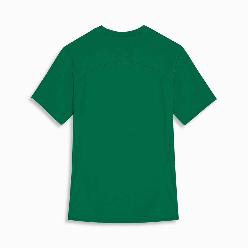 Camiseta de Treino Fluminense 2026 PUMA Masculina