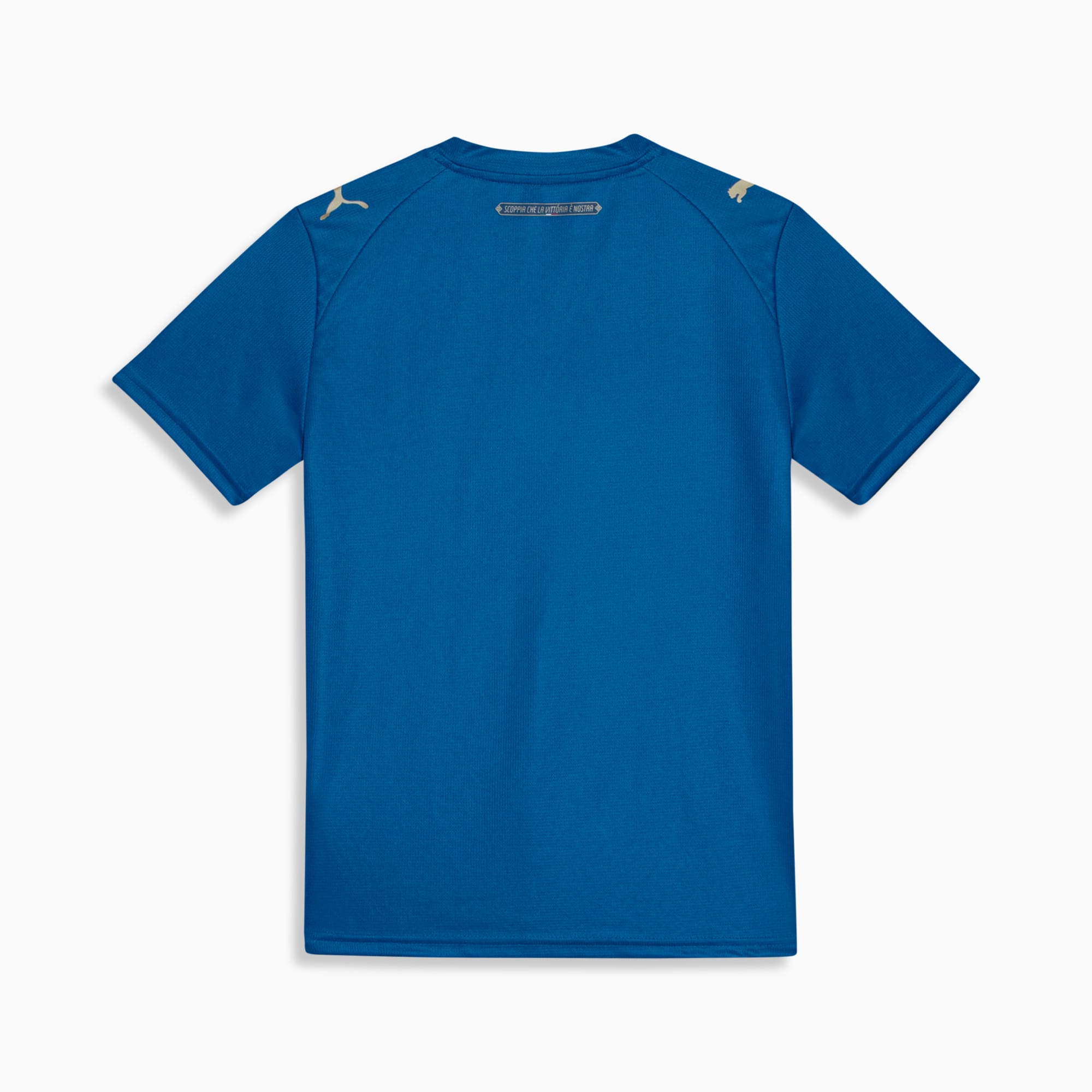 PUMA Camisa Juvenil Palmeiras Torcedor Third 26/27 Team Power Blue