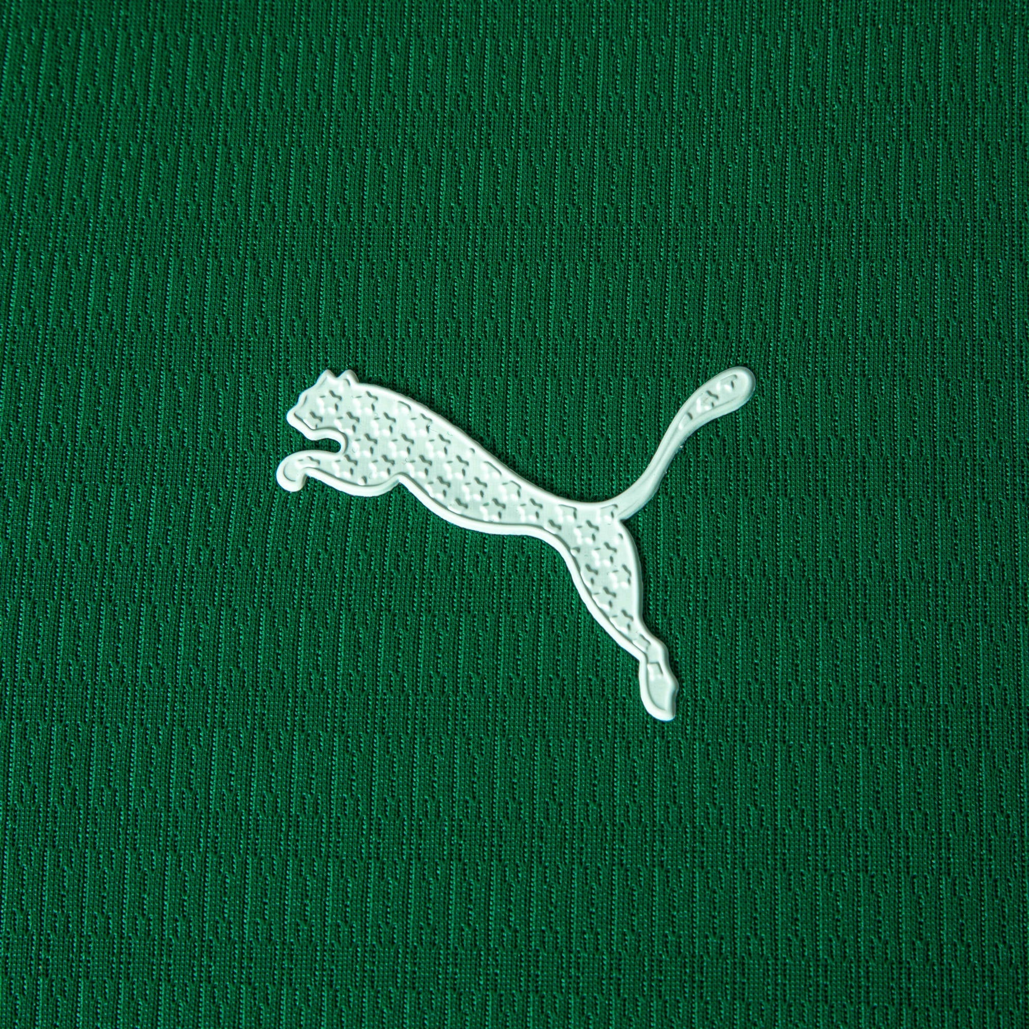 Camisa Palmeiras HOME 2026 Jogadora Feminina