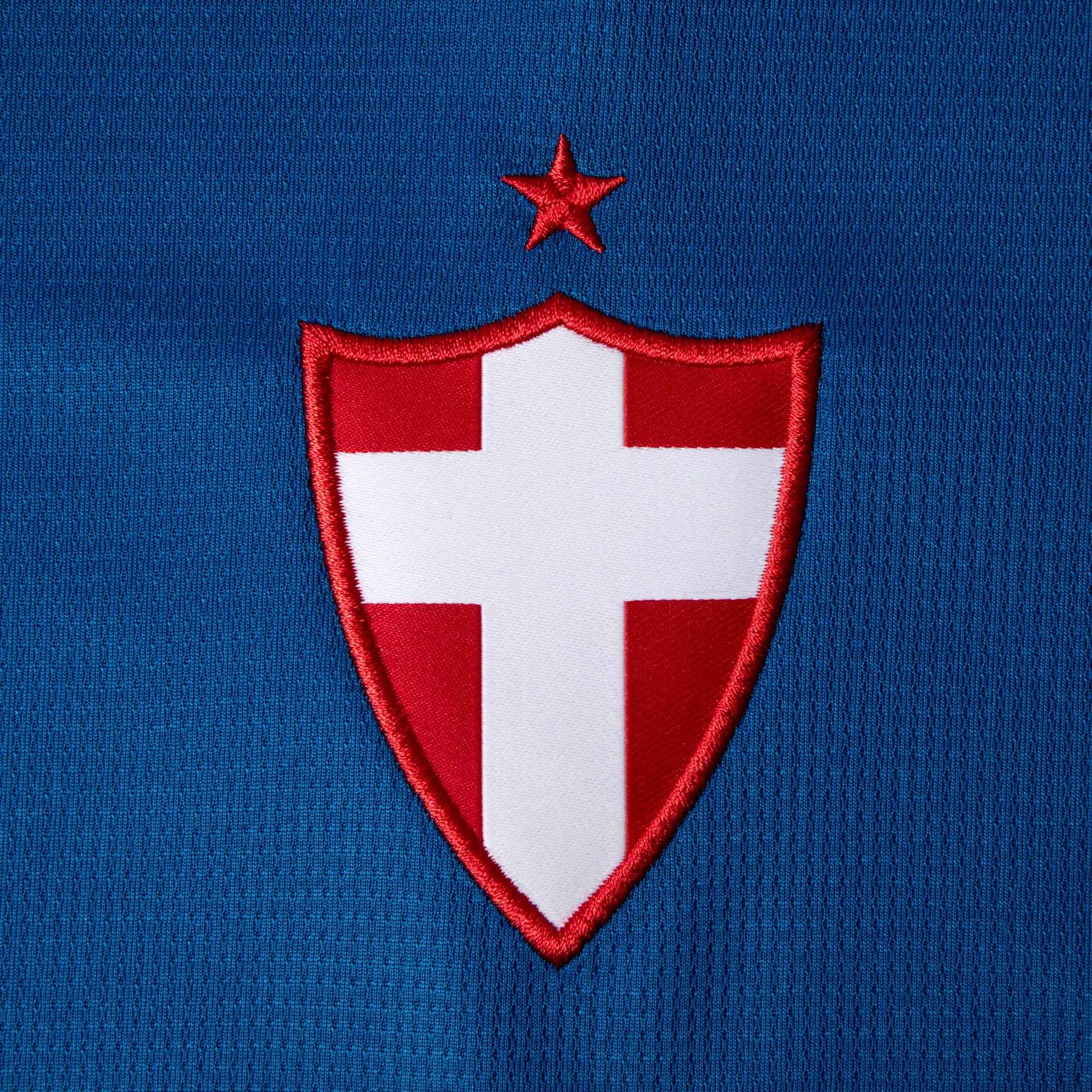 PUMA Camisa Feminina Palmeiras Torcedor Third 26/27 Team Power Blue