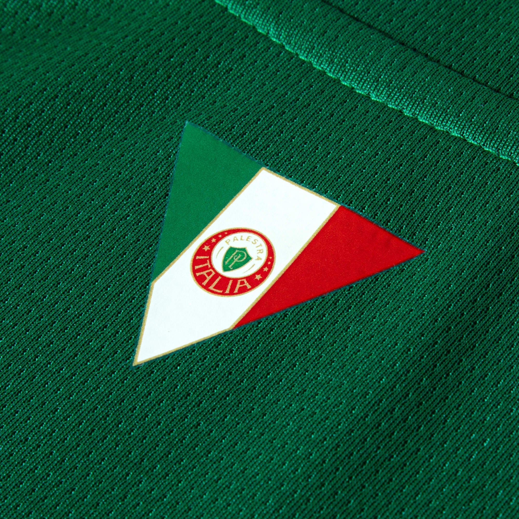 Camisa Palmeiras HOME 2026 Torcedor Masculina