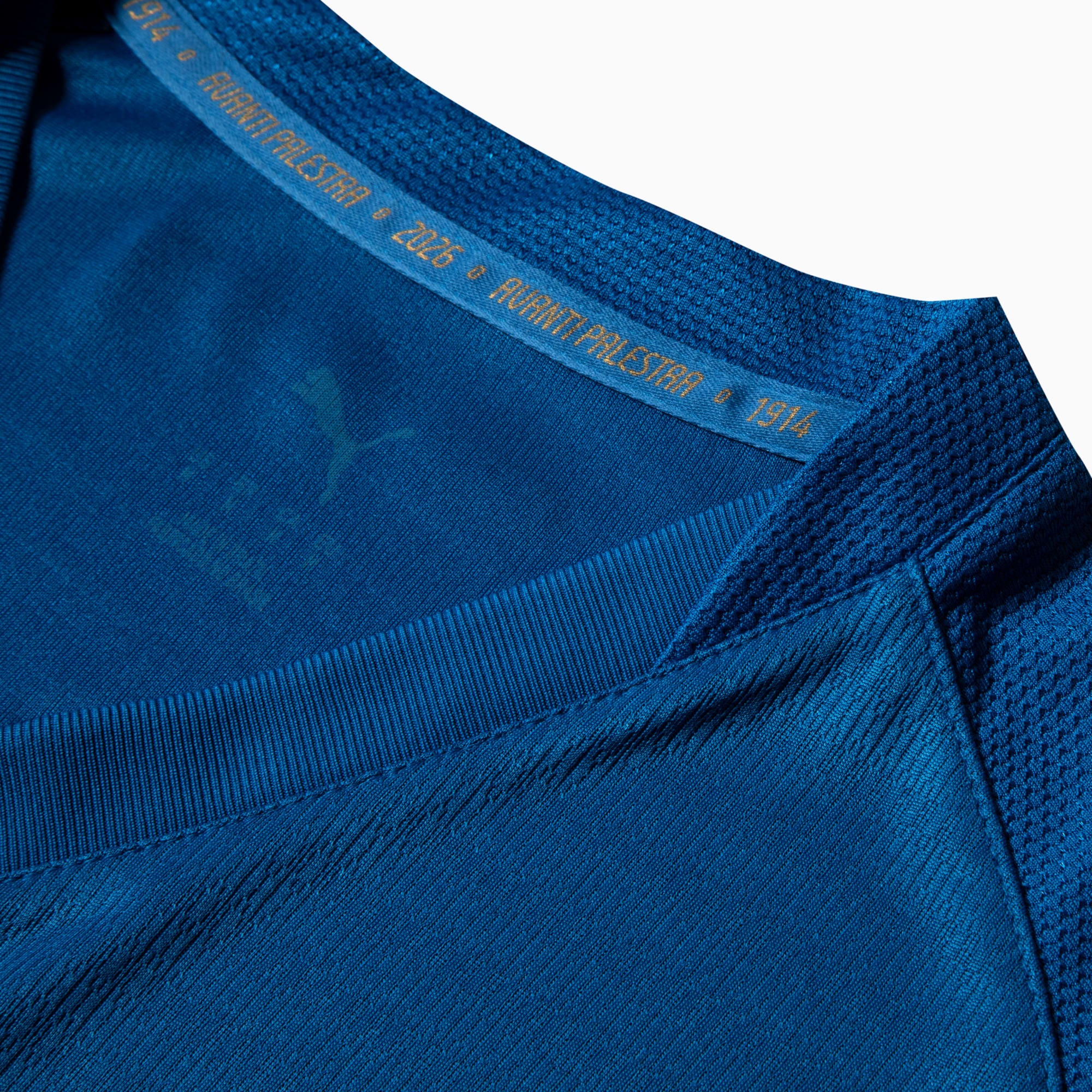 PUMA Camisa Masculina Palmeiras Jogador Third 26/27 Azul