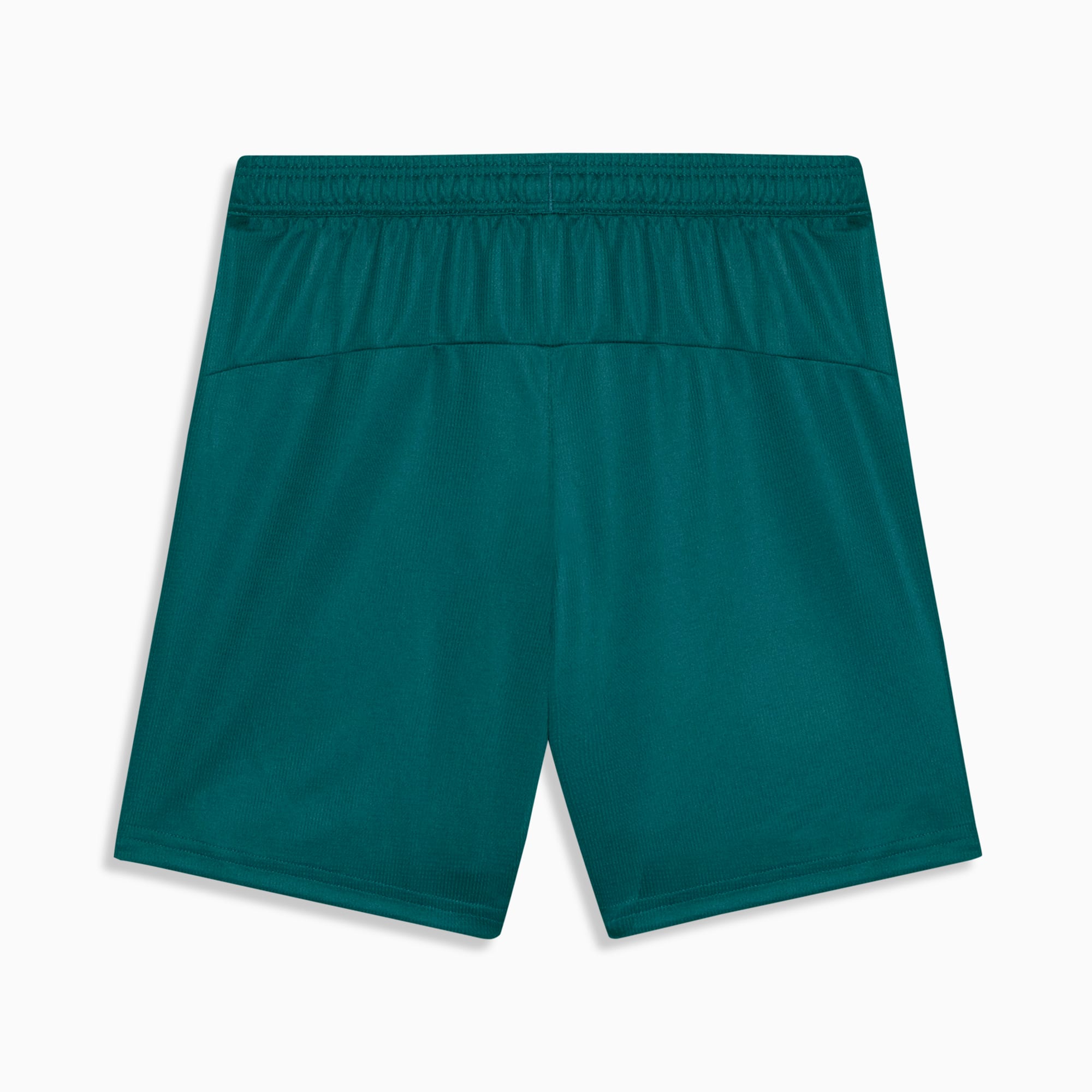 Shorts Fluminense Torcedor Third 26/27 Feminina PUMA