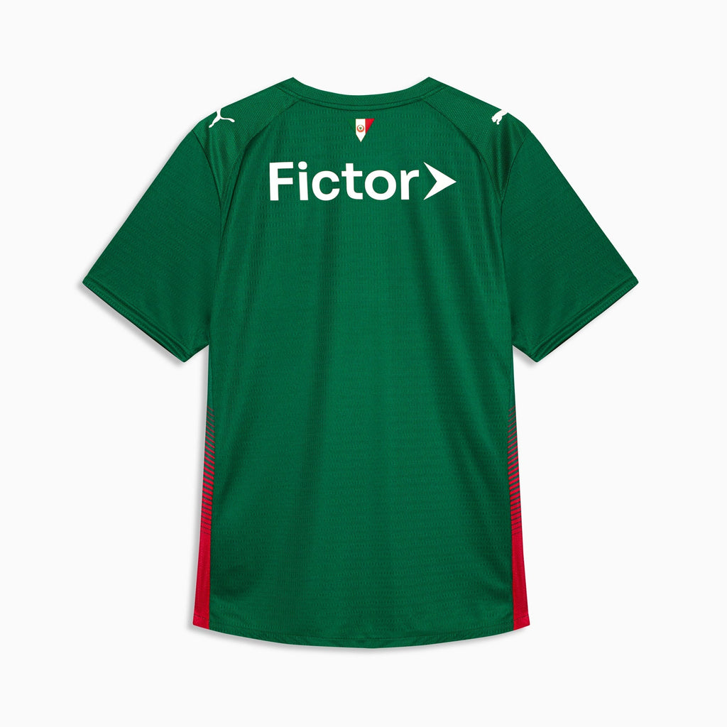 Camisa Palmeiras HOME 2026 Jogador Masculina