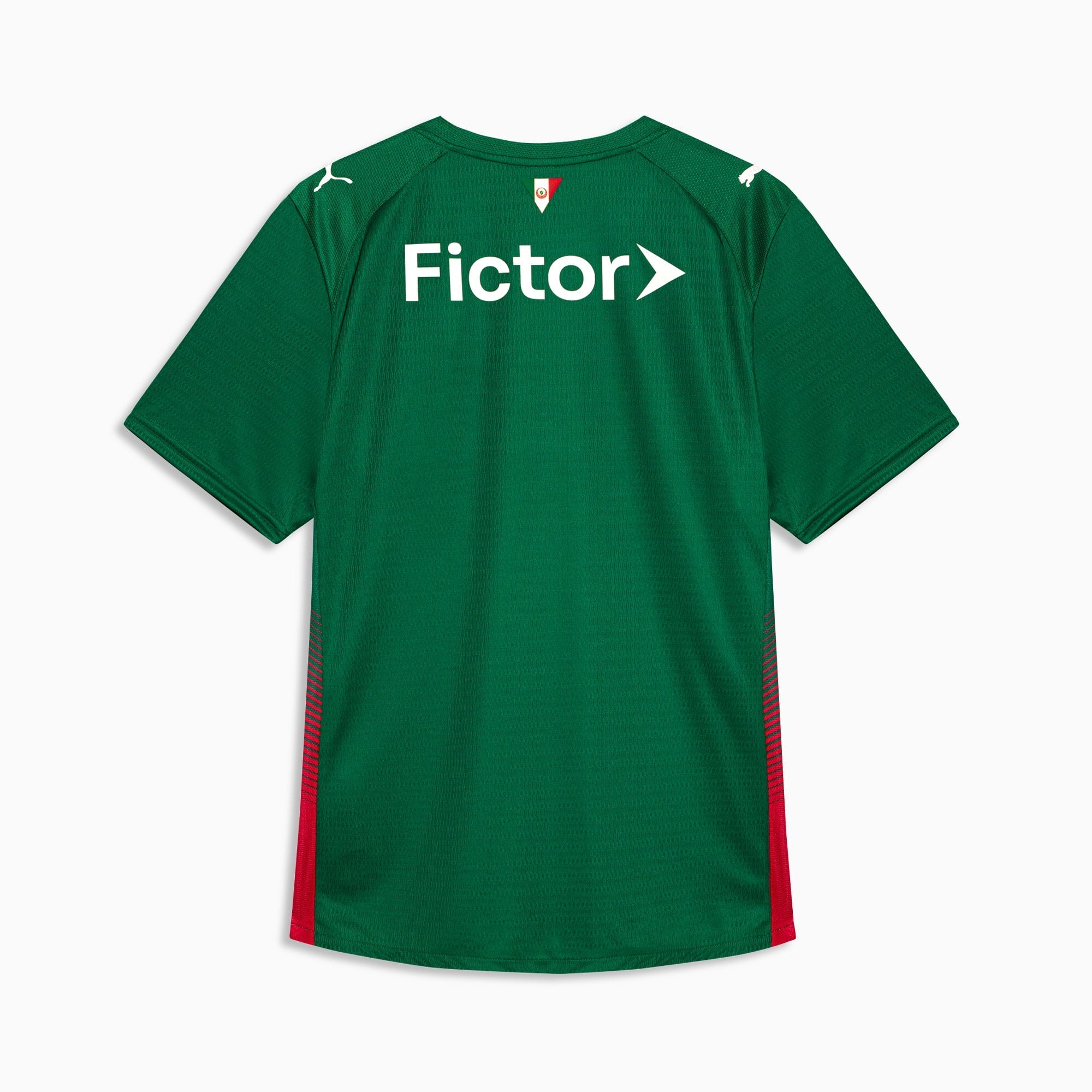 Camisa Palmeiras HOME 2026 Jogador Masculina