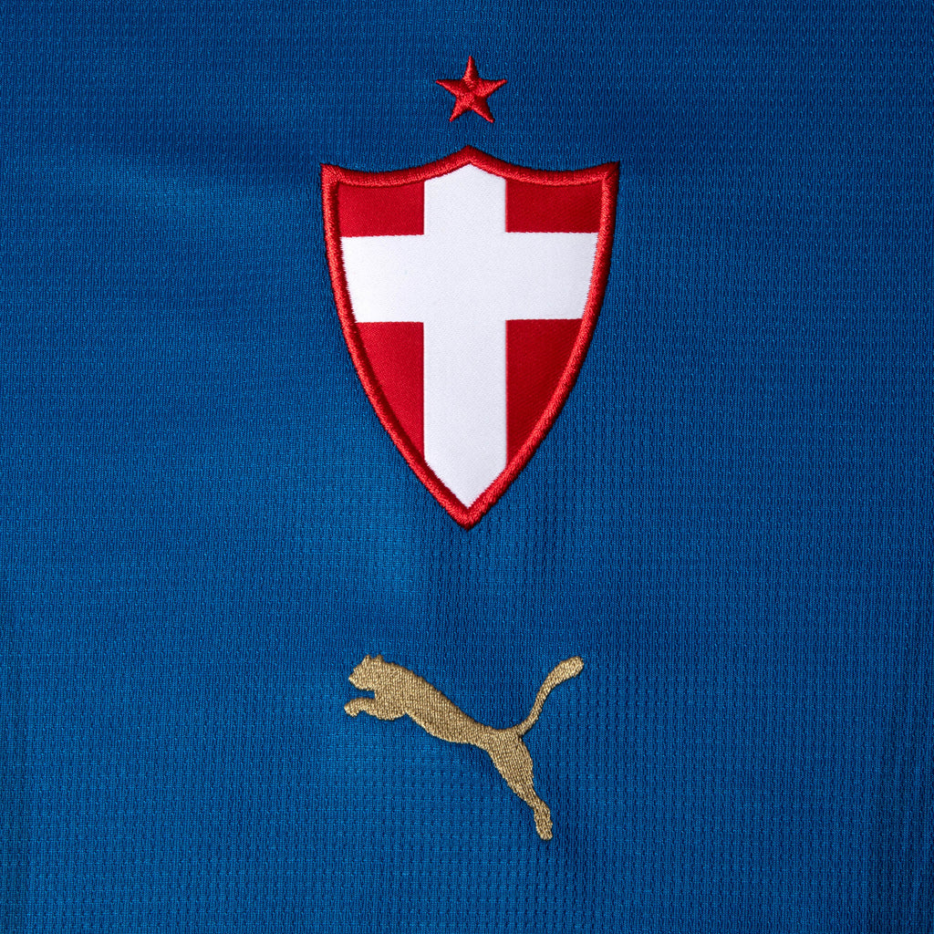 PUMA Camisa Feminina Palmeiras Torcedor Third 26/27 Team Power Blue