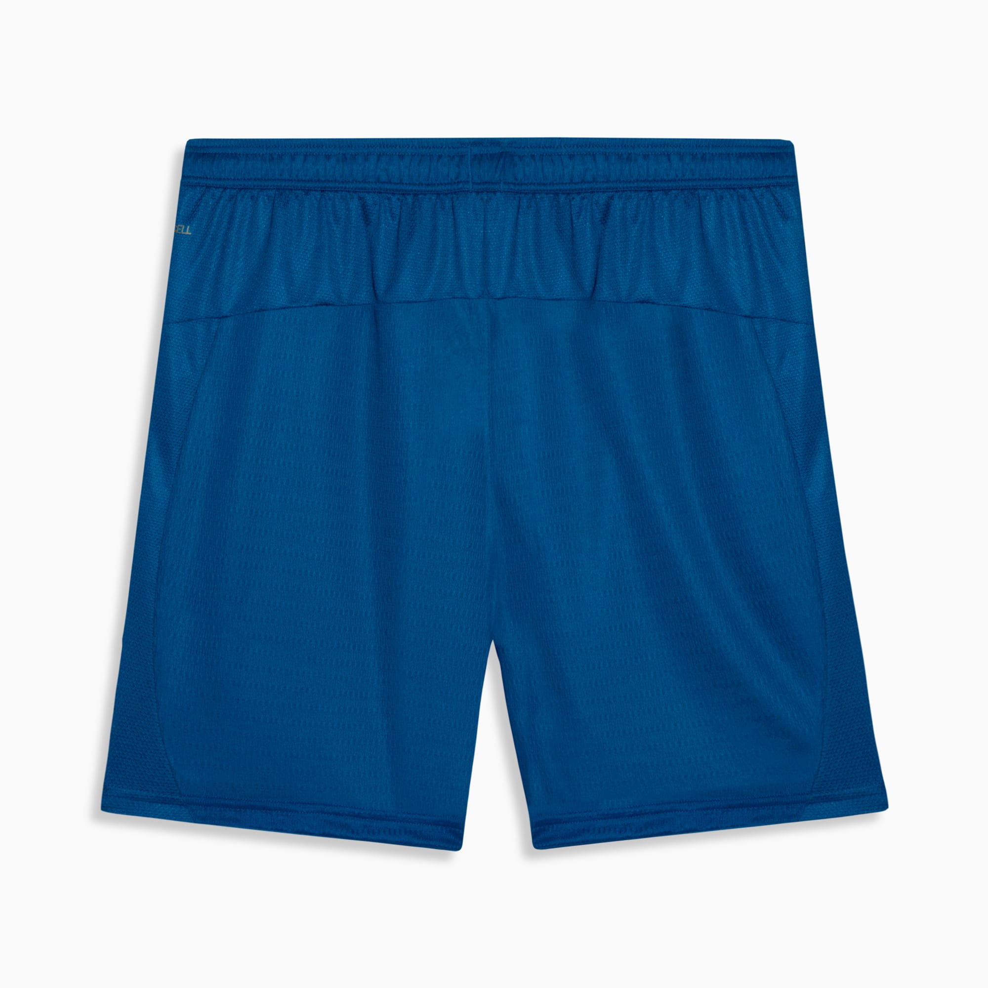 PUMA Shorts Masculino Palmeiras Jogador Third 26/27 Team Power Blue