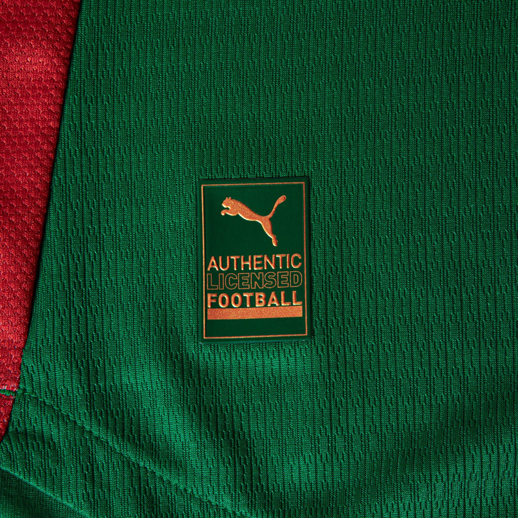 Camisa Palmeiras HOME 2026 Jogador Masculina