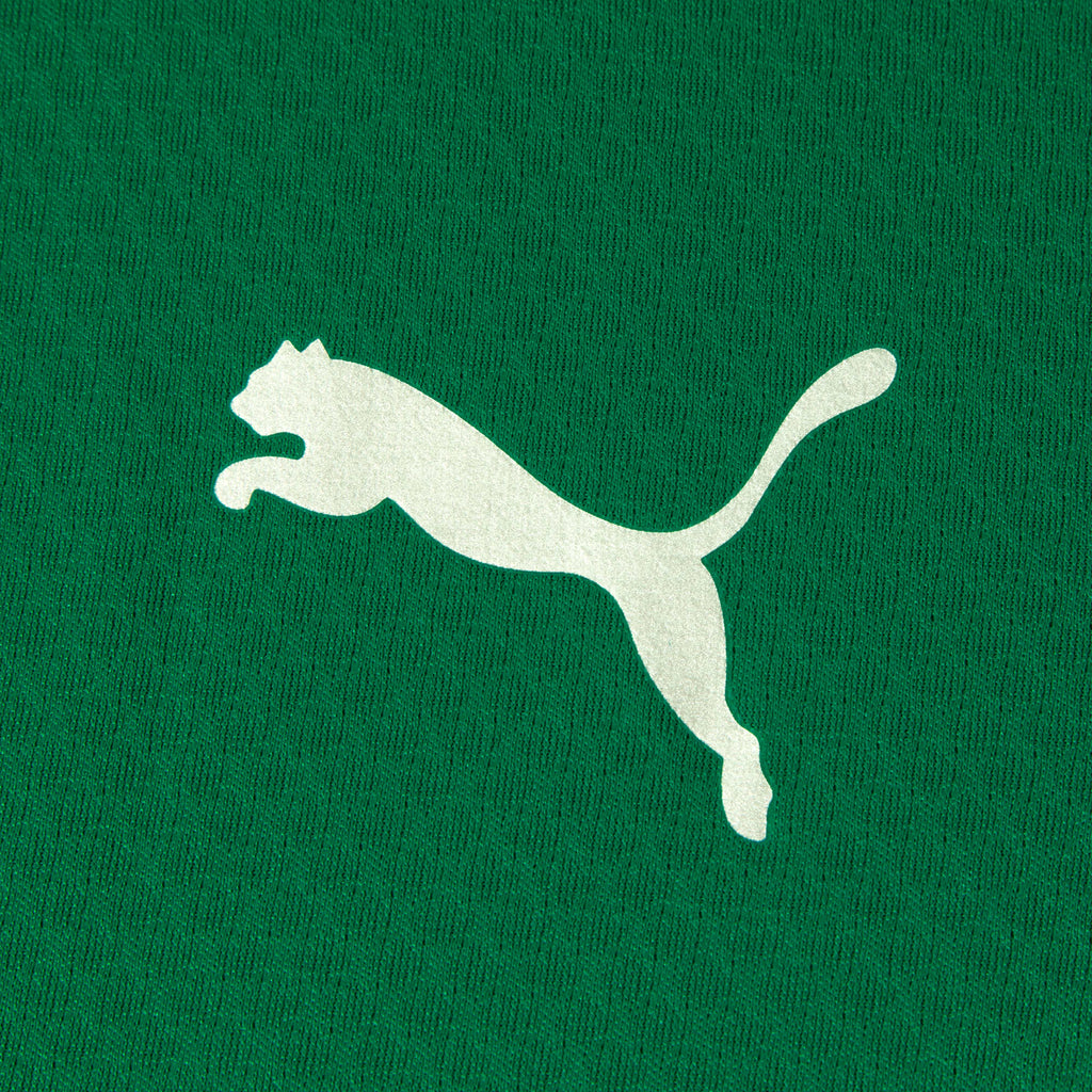 Jaqueta de Treino 1/4 Zip Fluminense 2026 PUMA Masculina
