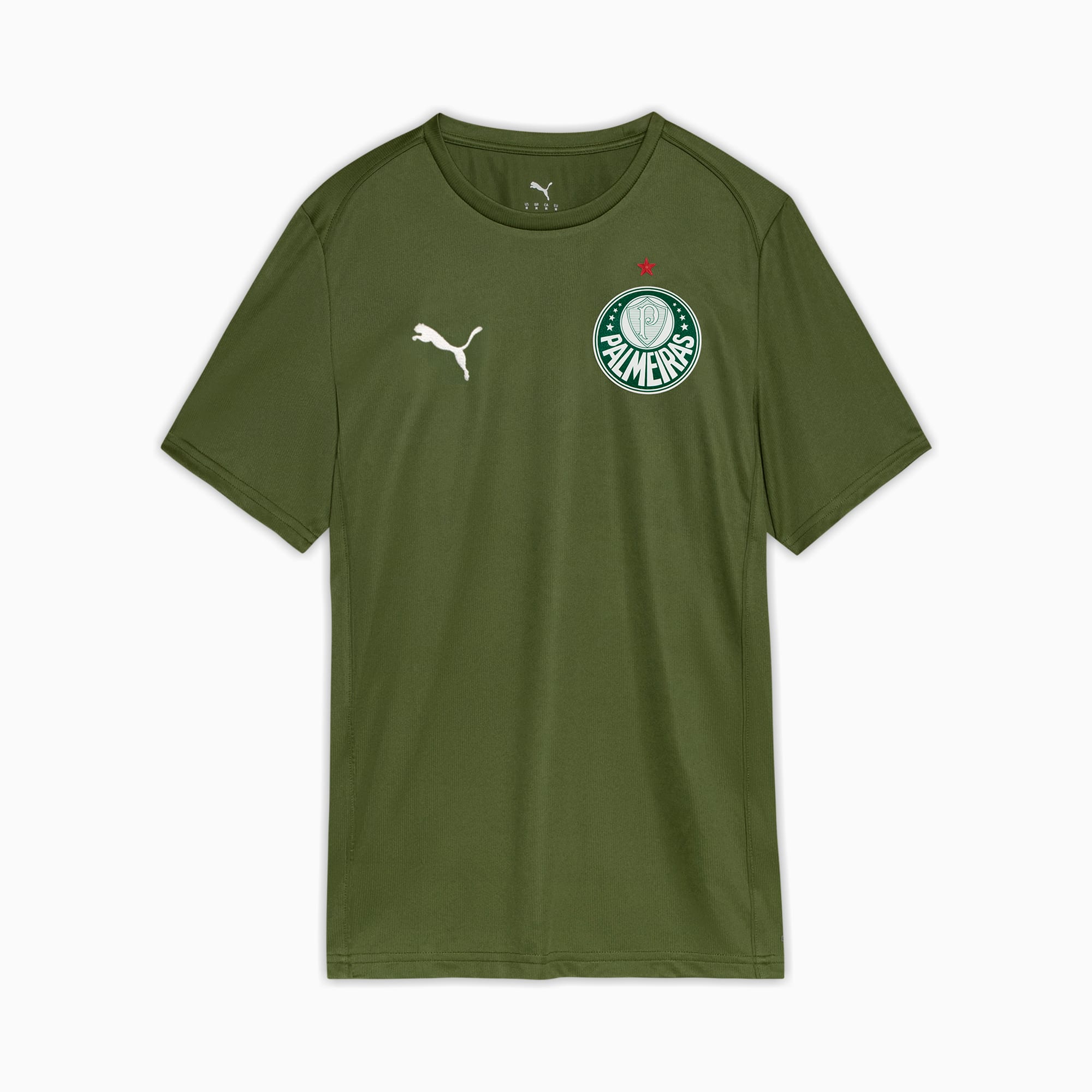 Camiseta Palmeiras Casuals 2025