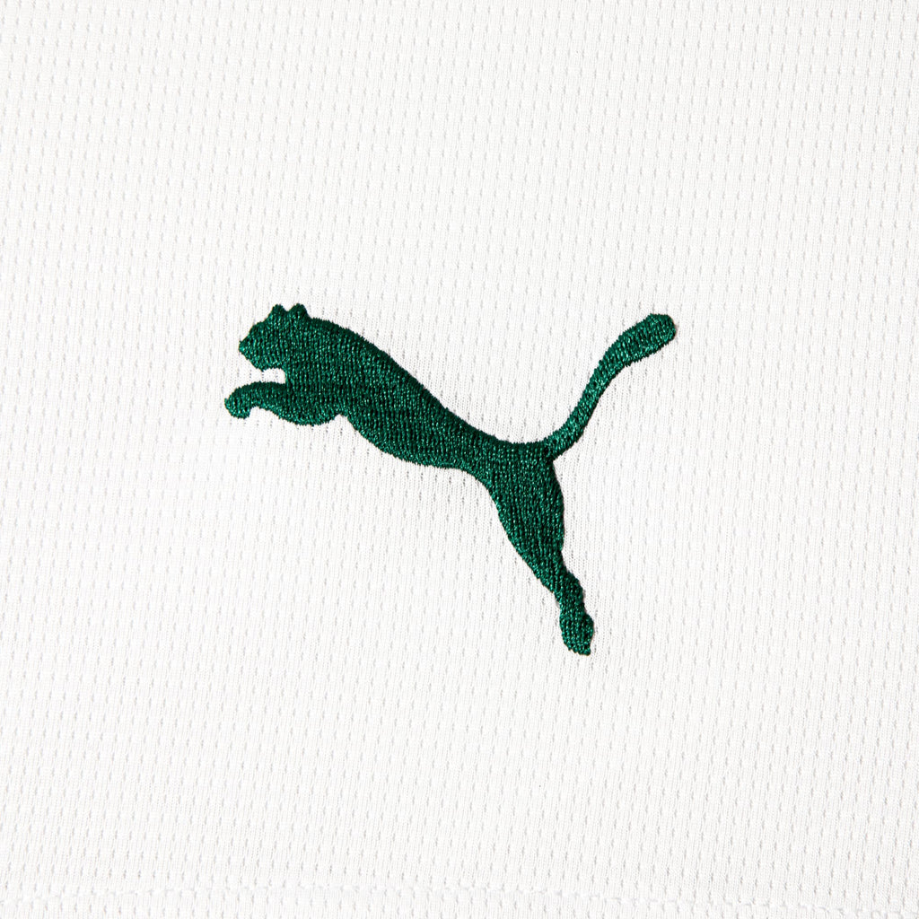 Shorts Palmeiras HOME 2026 Torcedor Masculino