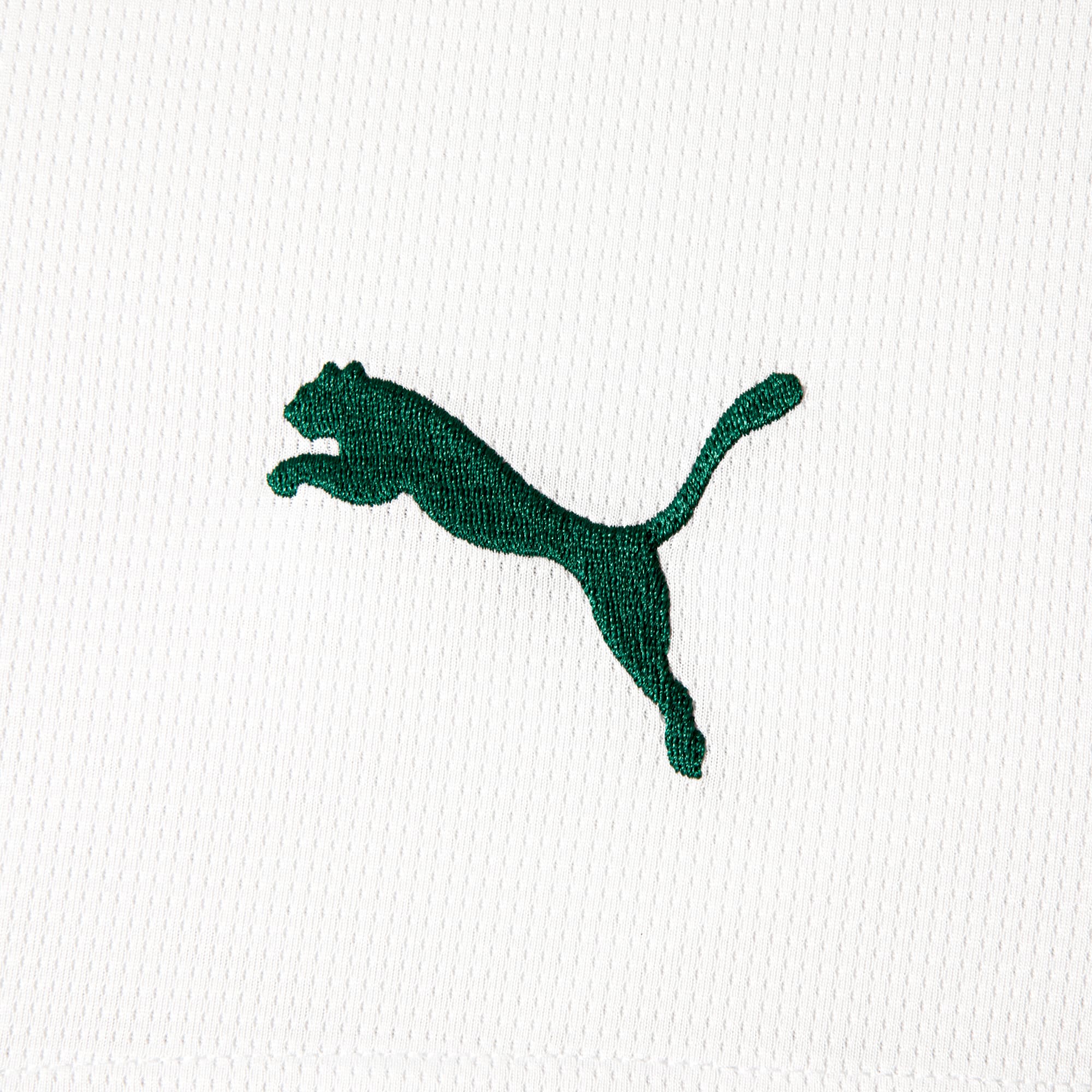 Shorts Palmeiras HOME 2026 Torcedor Masculino