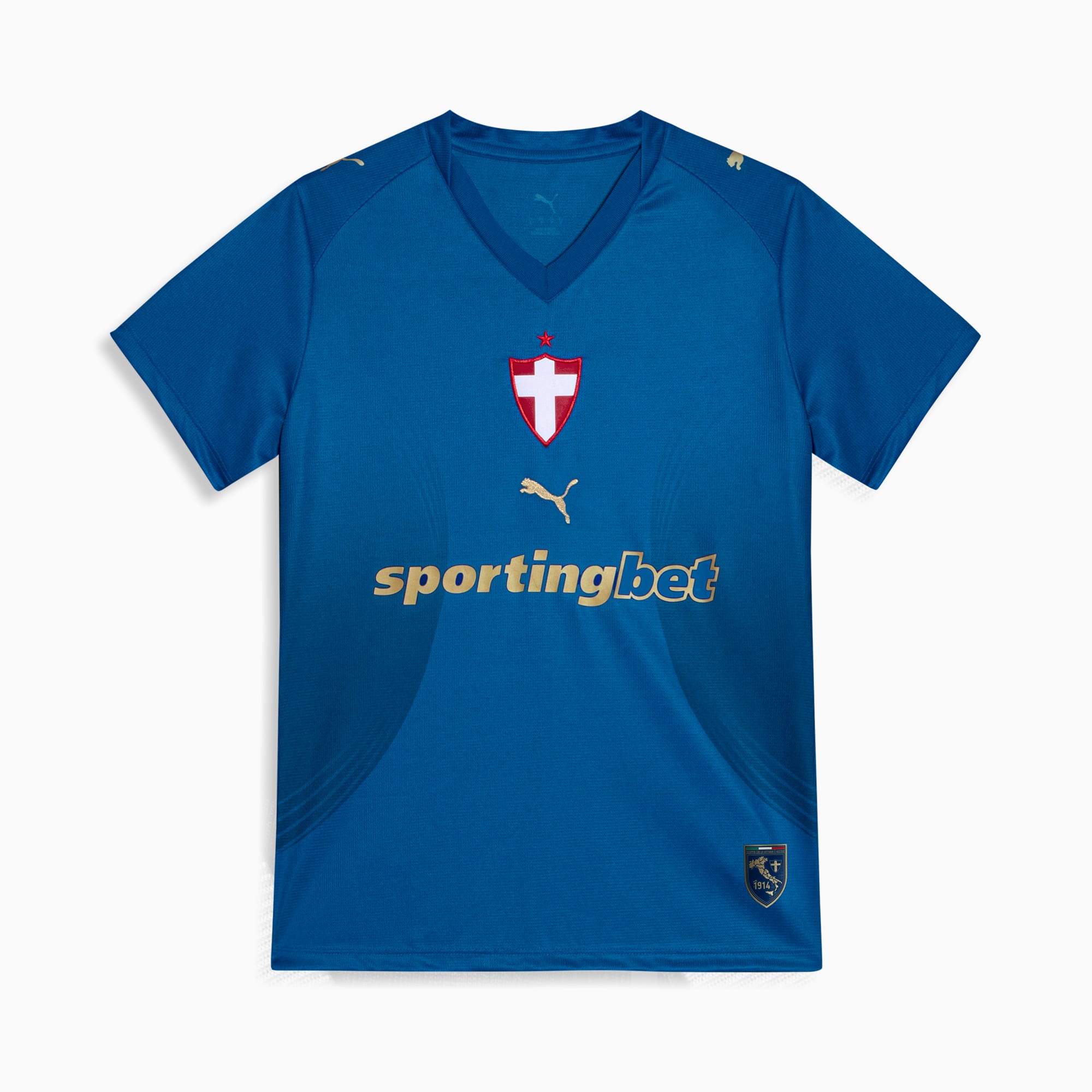 PUMA Camisa Feminina Palmeiras Torcedor Third 26/27 Team Power Blue