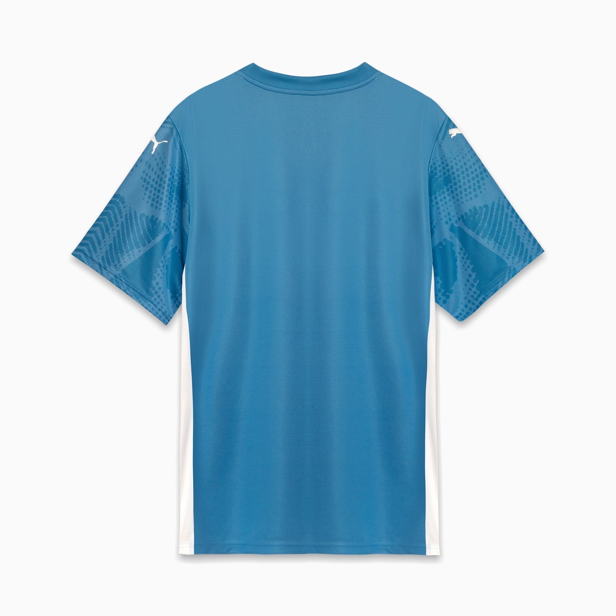 Camisa Goleiro Palmeiras Torcedor HOME 2025