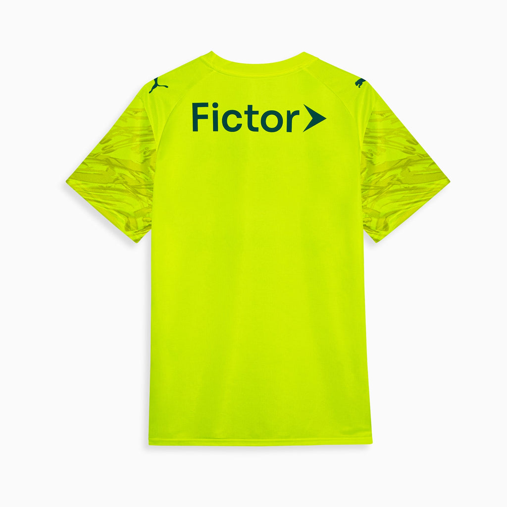 Camisa Goleiro Palmeiras THIRD 2026 Torcedor