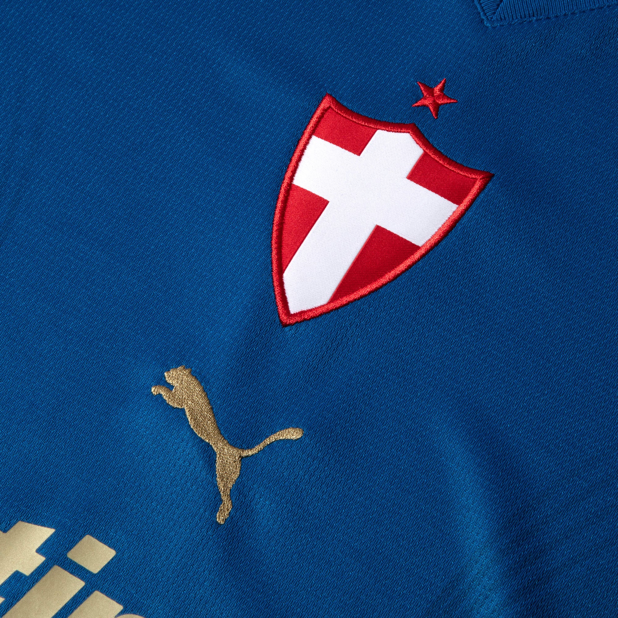PUMA Camisa Feminina Palmeiras Torcedor Third 26/27 Team Power Blue