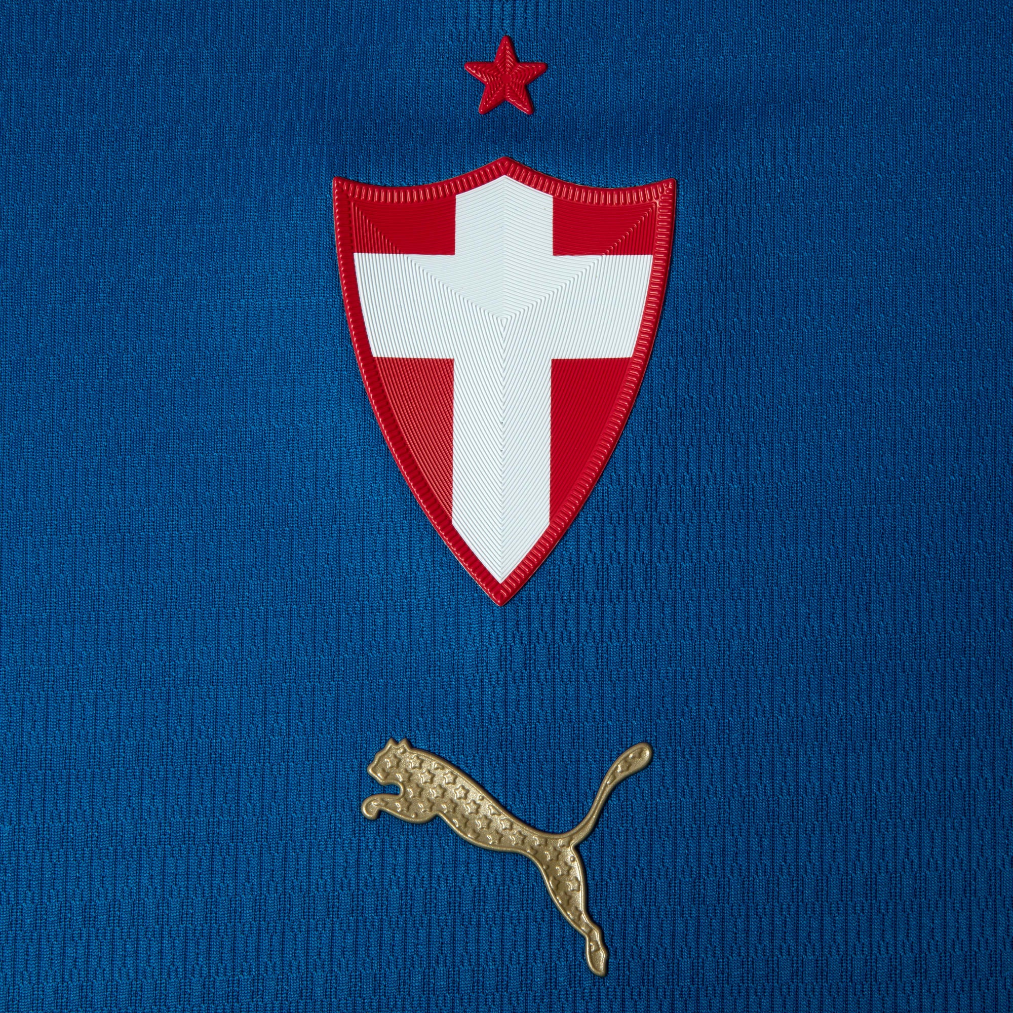 PUMA Camisa Feminina Palmeiras Jogador Third 26/27 Azul