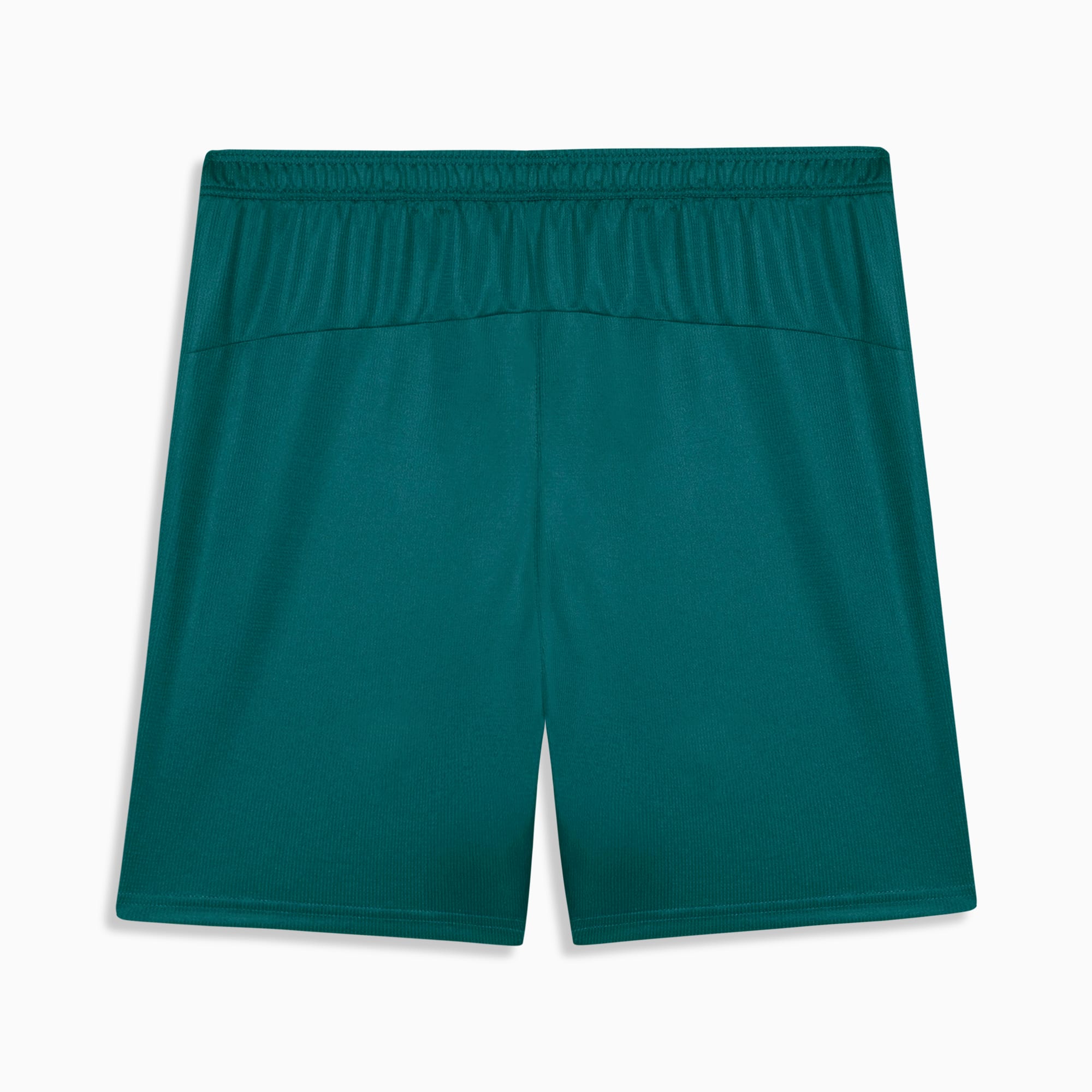 Shorts Fluminense Torcedor Third 26/27 PUMA