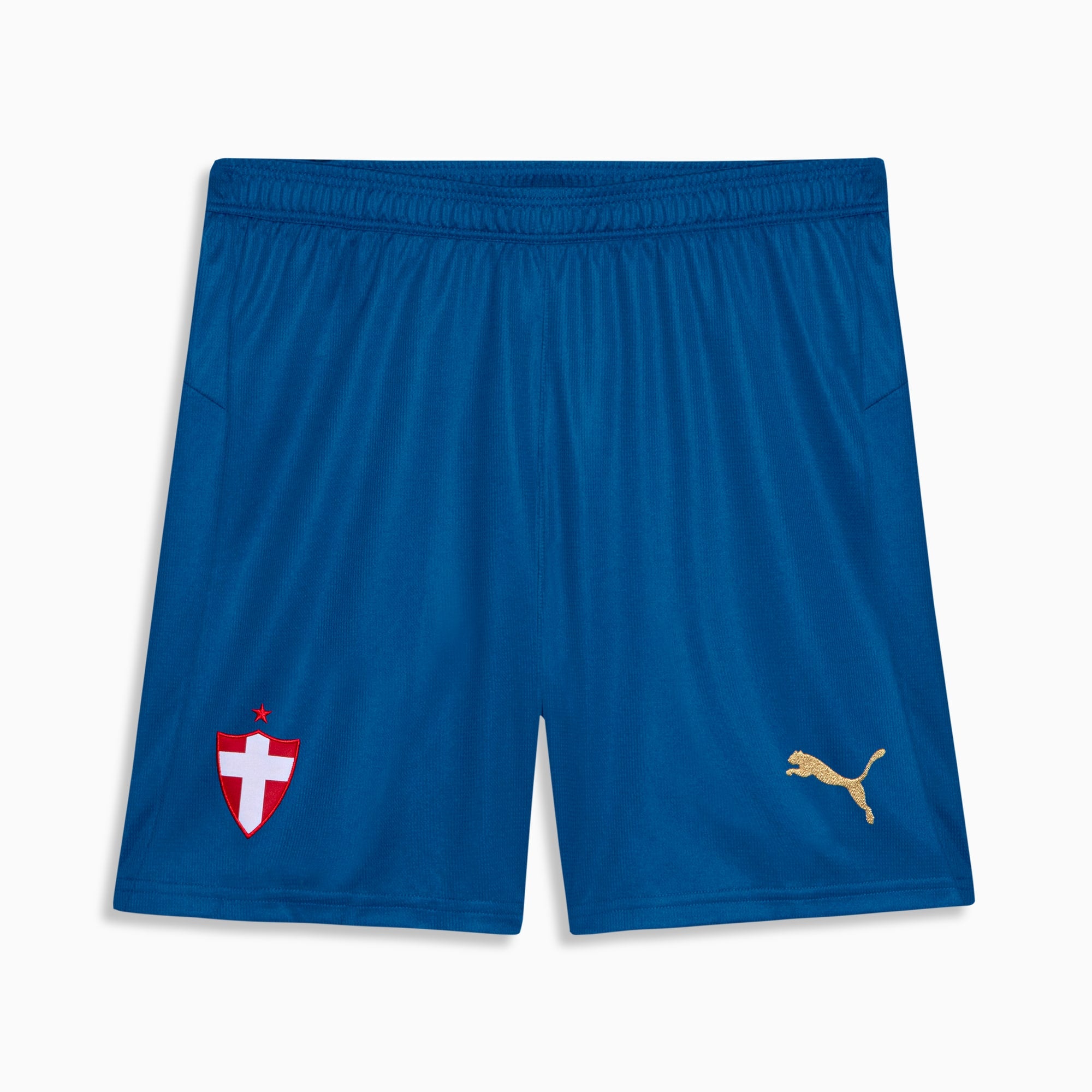 PUMA Shorts Masculino Palmeiras Torcedor Third 26/27 Team Power Blue