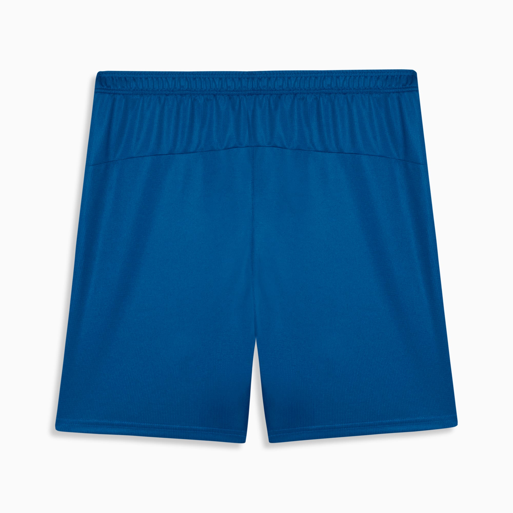 PUMA Shorts Masculino Palmeiras Torcedor Third 26/27 Team Power Blue