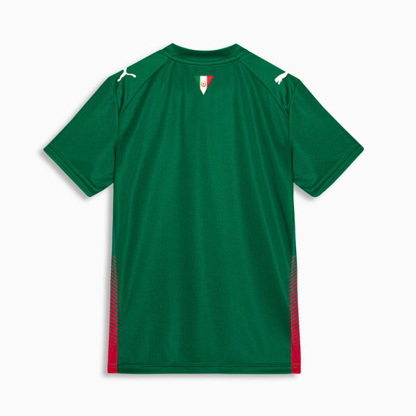 Camisa Palmeiras HOME 2026 Torcedor Juvenil