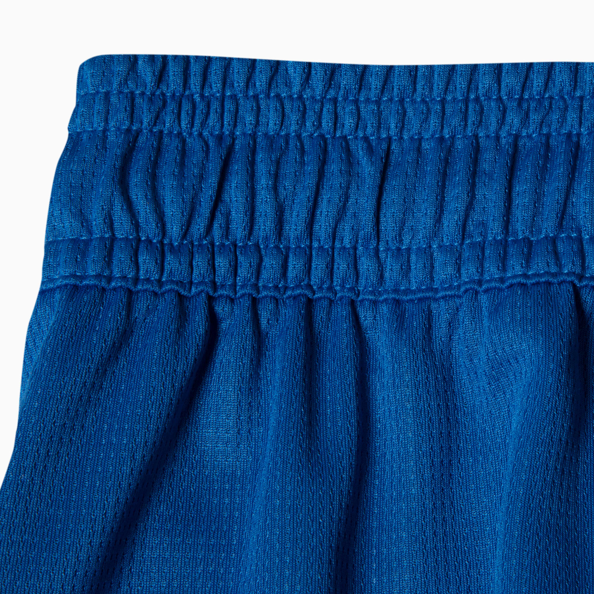 PUMA Shorts Masculino Palmeiras Torcedor Third 26/27 Team Power Blue