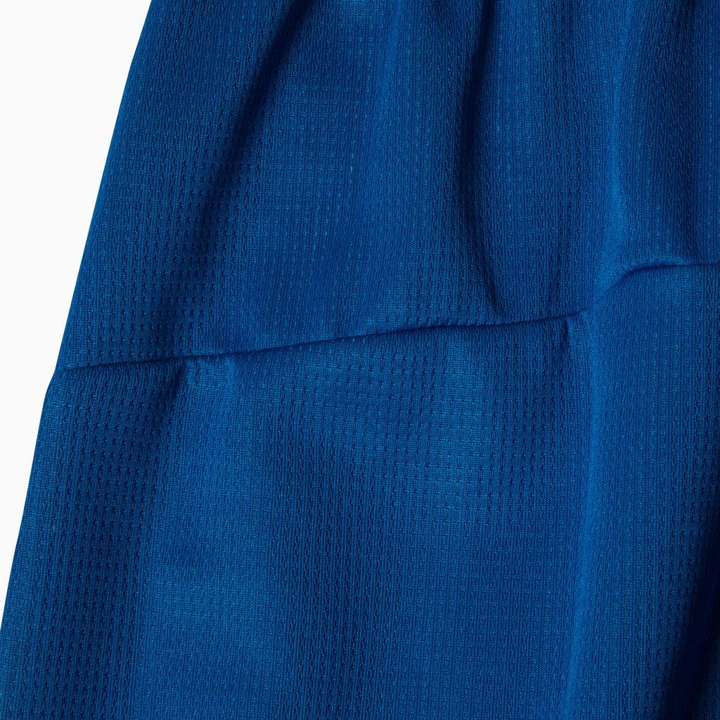 PUMA Shorts Masculino Palmeiras Torcedor Third 26/27 Team Power Blue