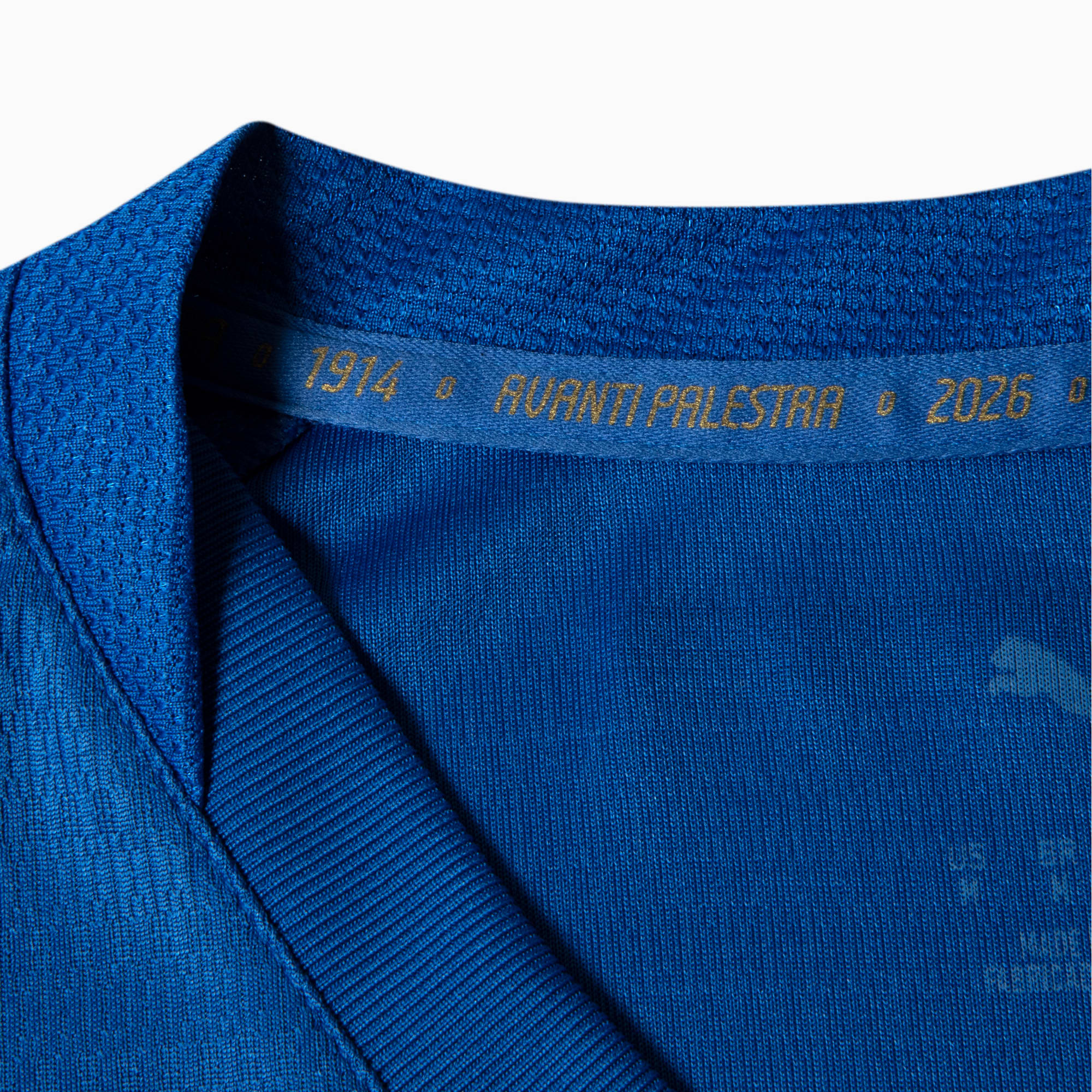 PUMA Camisa Masculina Palmeiras Jogador Third 26/27 Azul