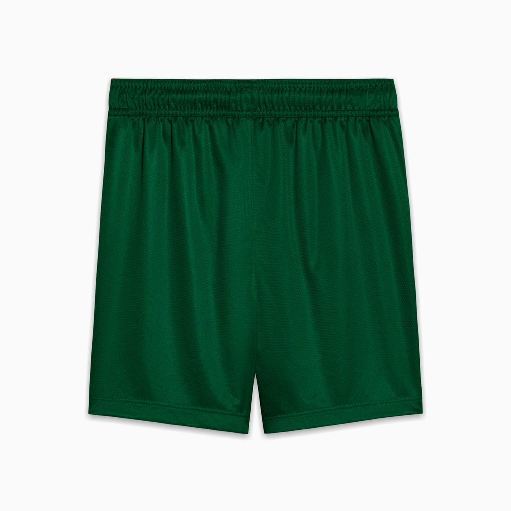 Shorts Palmeiras Torcedor AWAY 2025 Juvenil