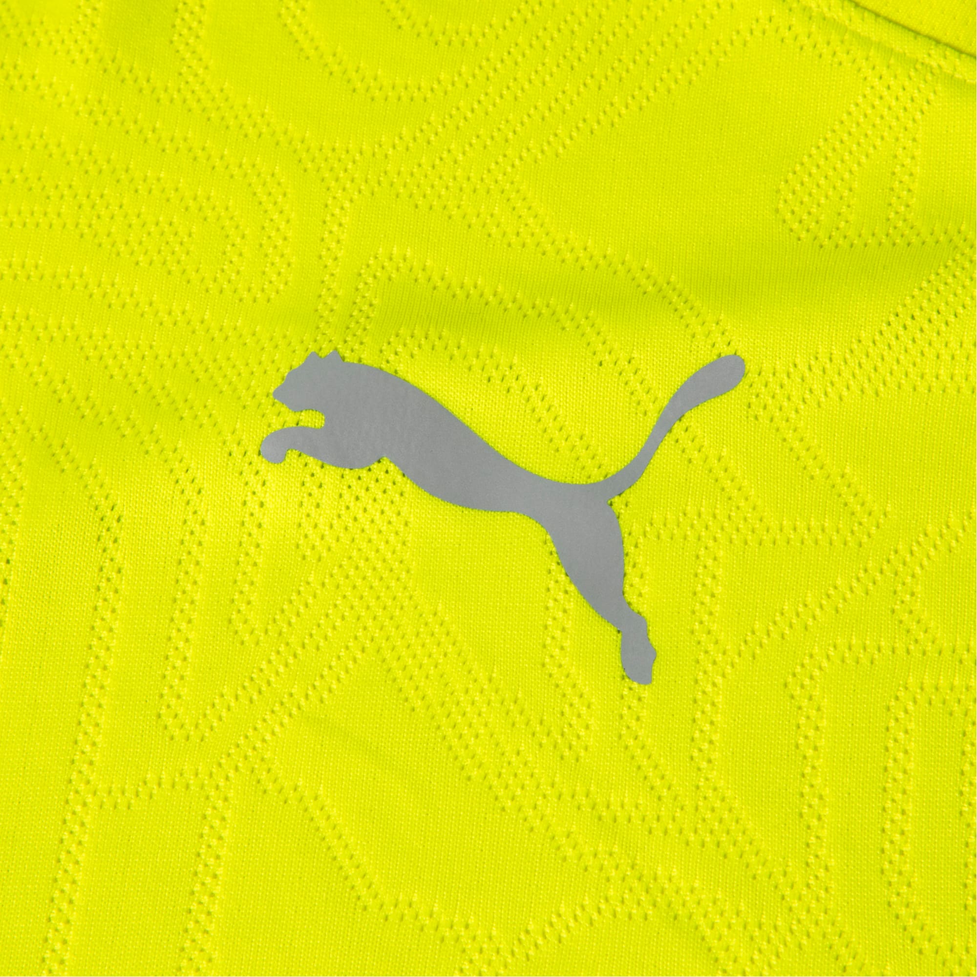 Camiseta de Treino Fluminense 2026 PUMA