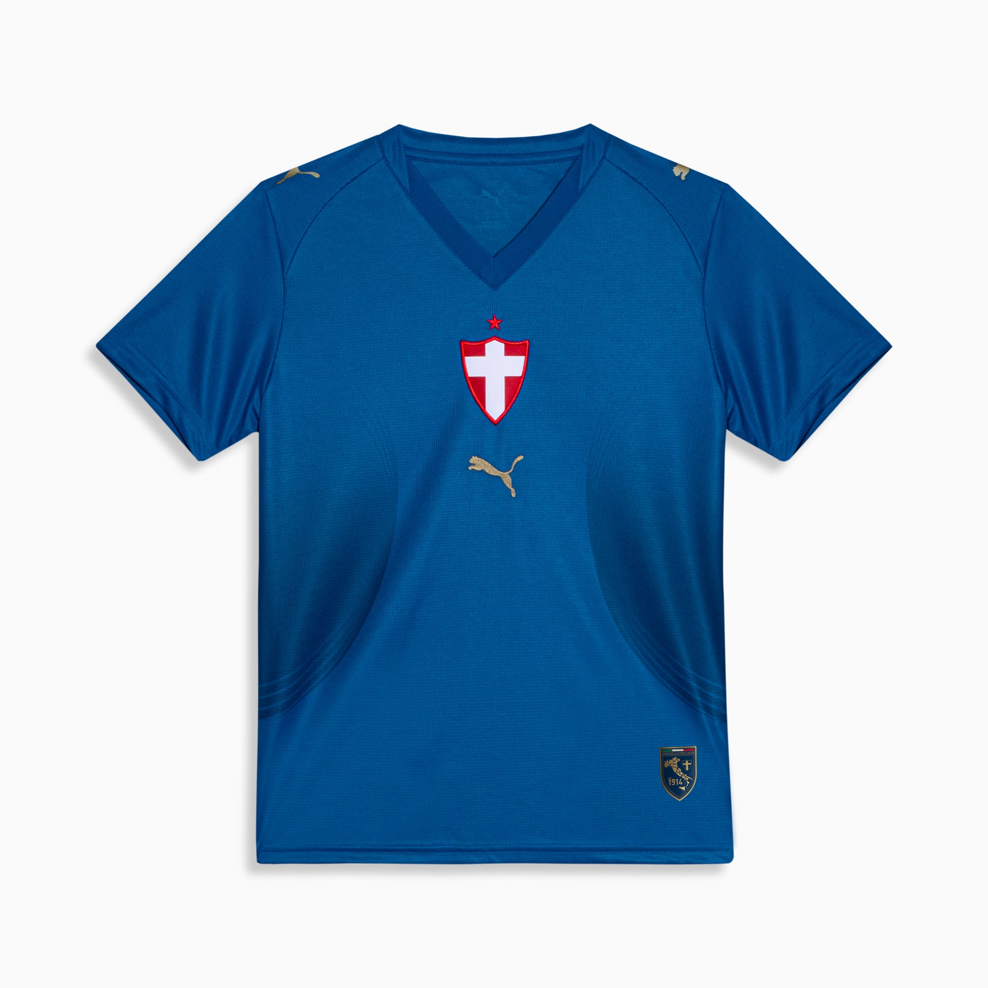 PUMA Camisa Juvenil Palmeiras Torcedor Third 26/27 Team Power Blue