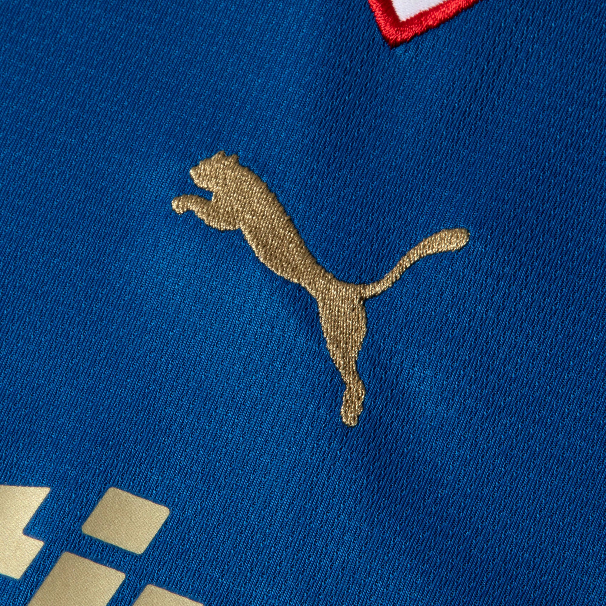 PUMA Camisa Juvenil Palmeiras Torcedor Third 26/27 Team Power Blue