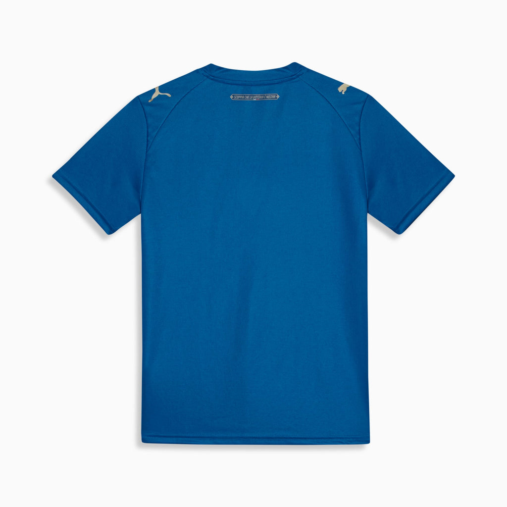 PUMA Camisa Juvenil Palmeiras Torcedor Third 26/27 Team Power Blue