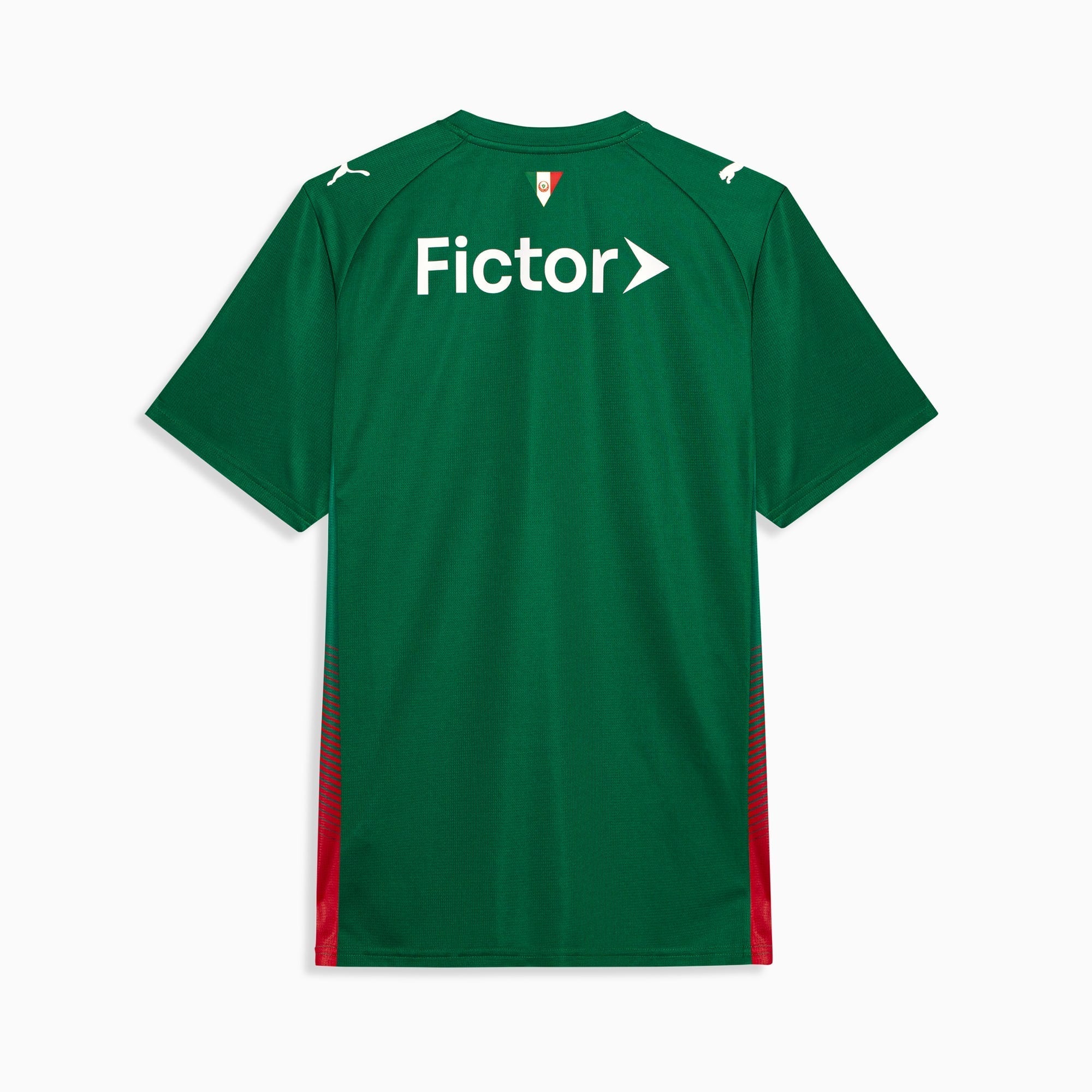 Camisa Palmeiras HOME 2026 Torcedor Masculina